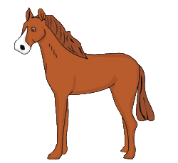 Cavallo