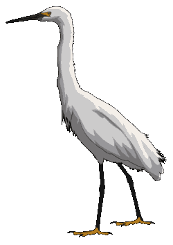 garza